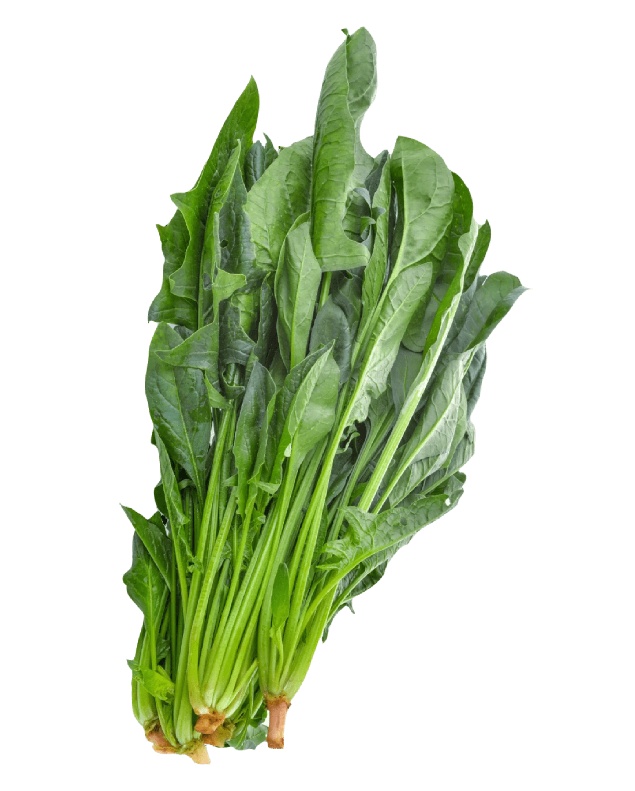 Spinach Spinach (Palak) 